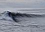 Surf38.JPG