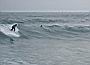 Surf46.JPG